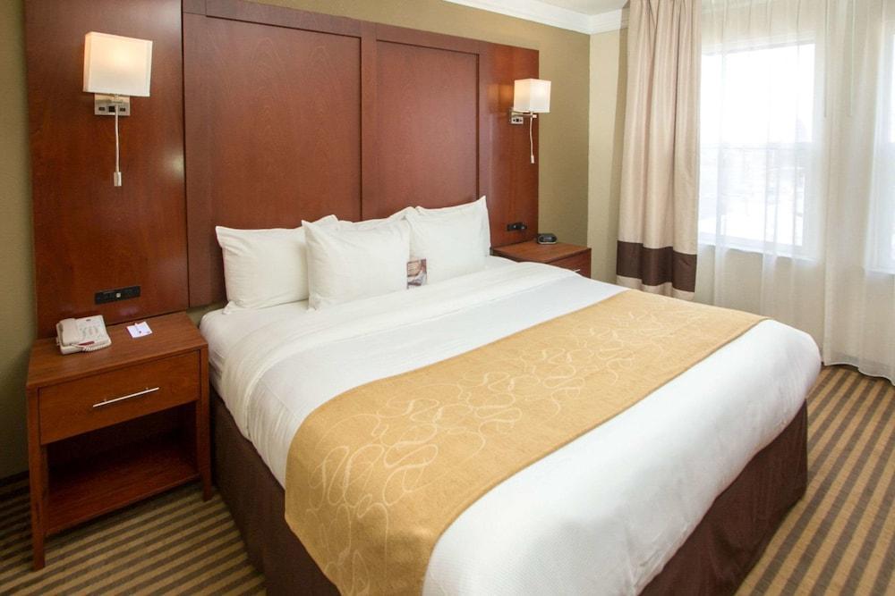 Comfort - Convention Center 3*