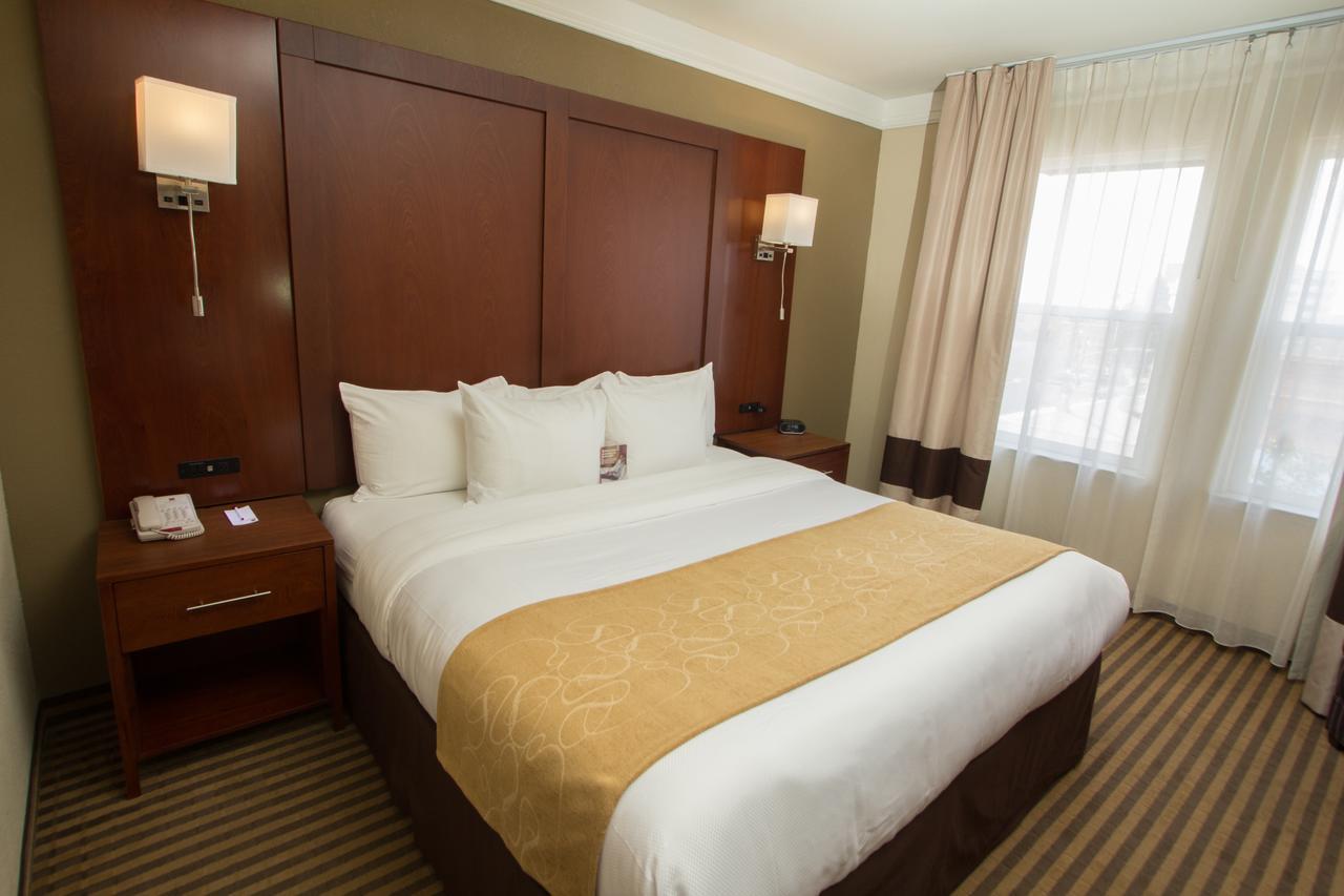 Comfort - Convention Center 3*